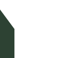 Official logo by NV PROPERTIES Inc.
